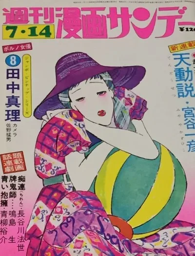Cover of No. 29, 1973