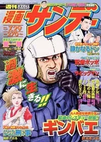 Cover of No. 29, 2003
