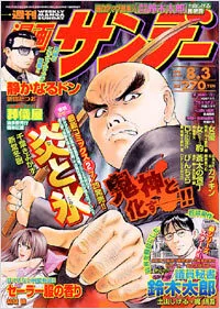 Cover of No. 29, 2004