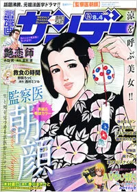 Cover of No. 29, 2009