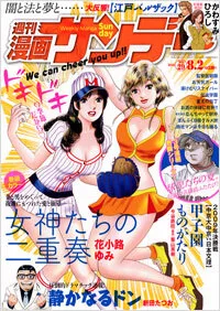 Cover of No. 29, 2011