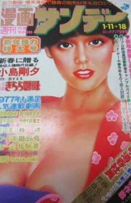 Cover of No. 3, 1977
