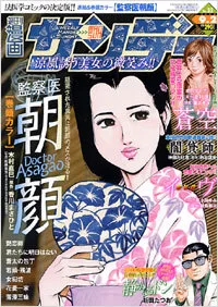 Cover of No. 33, 2008