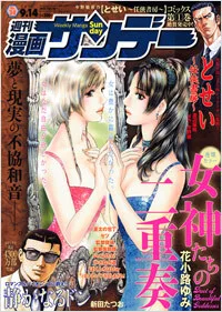 Cover of No. 34, 2010