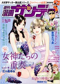 Cover of No. 34, 2011