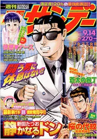 Cover of No. 35, 2004