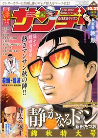 Cover of No. 40, 2008