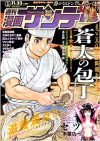 Cover of No. 44, 2010