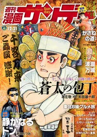 Cover of No. 48, 2010
