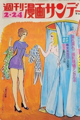Cover of No. 8, 1973