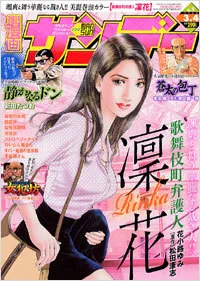 Cover of No. 9, 2008