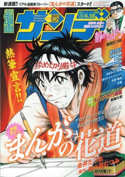 Cover of No. 16, 2009