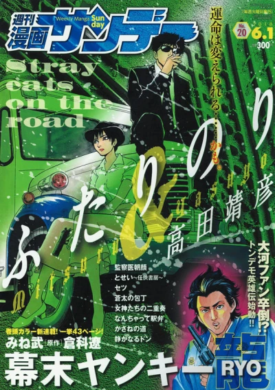 Cover of No. 20, 2010