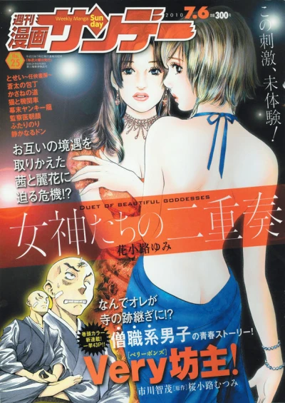 Cover of No. 25, 2010