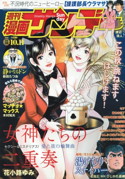 Cover of No. 38, 2011