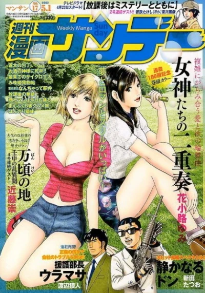 Cover of No. 17, 2012