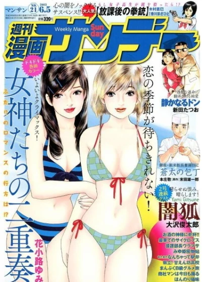 Cover of No. 21, 2012