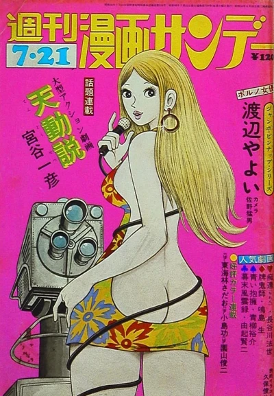 Cover of No. 30, 1973