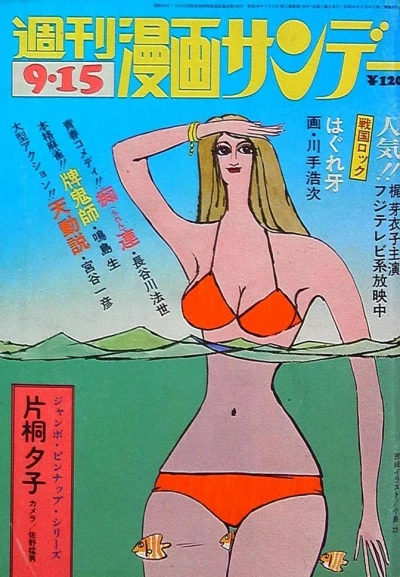 Cover of No. 40, 1973