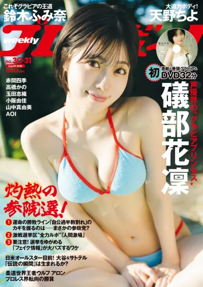 Cover of Volume #202530-31