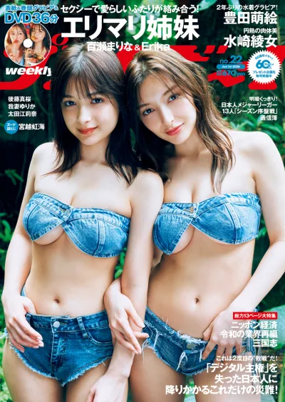 Cover of Volume #202622
