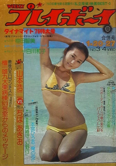 Cover of Volume #197603-04