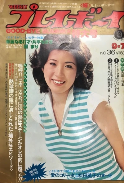 Cover of Volume #197636