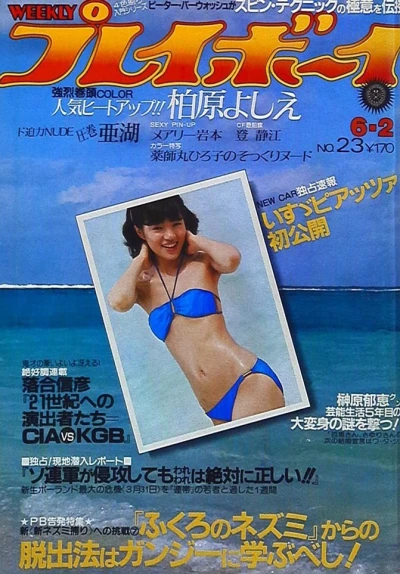 Cover of Volume #198123