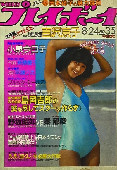 Cover of Volume #198235