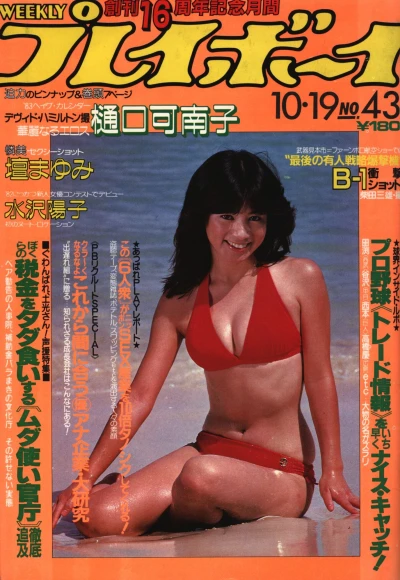 Cover of Volume #198243