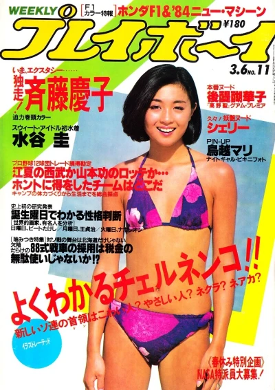 Cover of Volume #198411