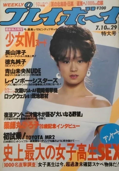 Cover of Volume #198429
