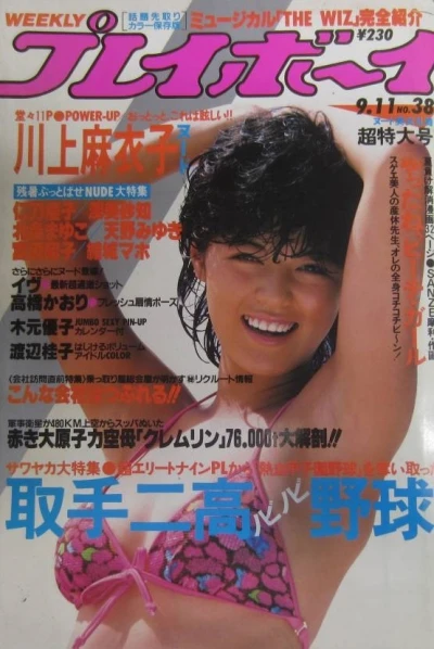 Cover of Volume #198438