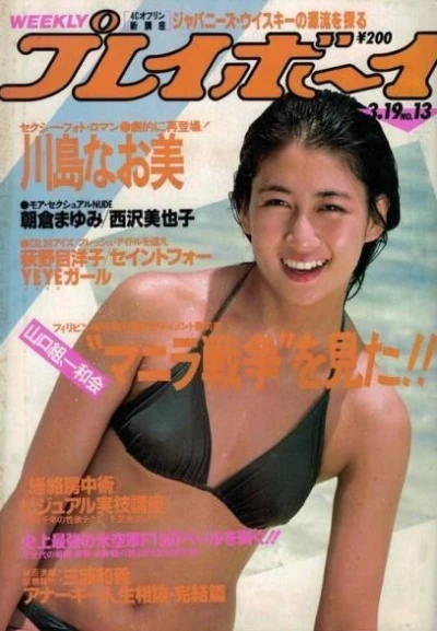 Cover of Volume #198513