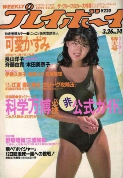 Cover of Volume #198514