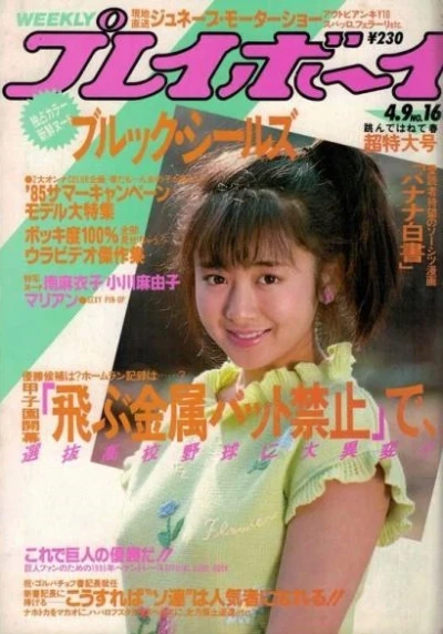 Cover of Volume #198516