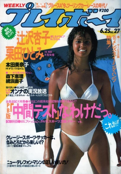 Cover of Volume #198527