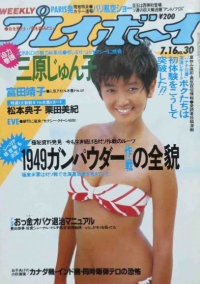 Cover of Volume #198530