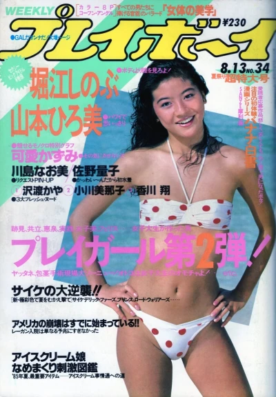 Cover of Volume #198534