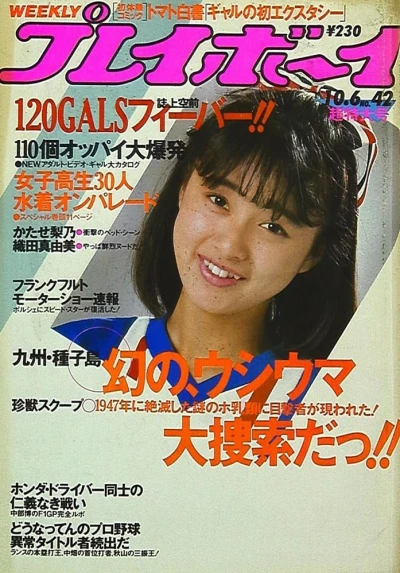 Cover of Volume #198742