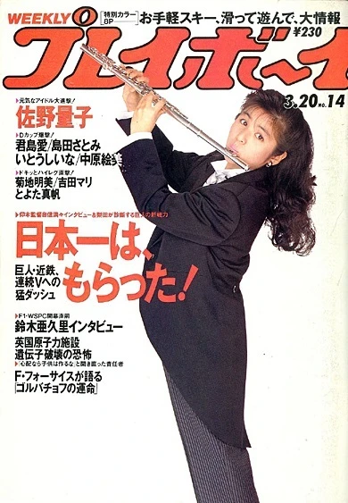 Cover of Volume #199014
