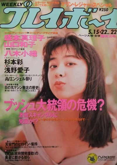 Cover of Volume #199022