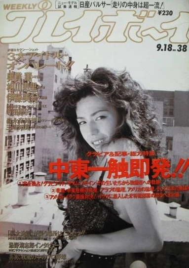 Cover of Volume #199038