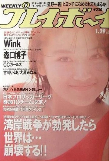 Cover of Volume #199105