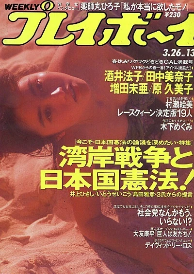 Cover of Volume #199113