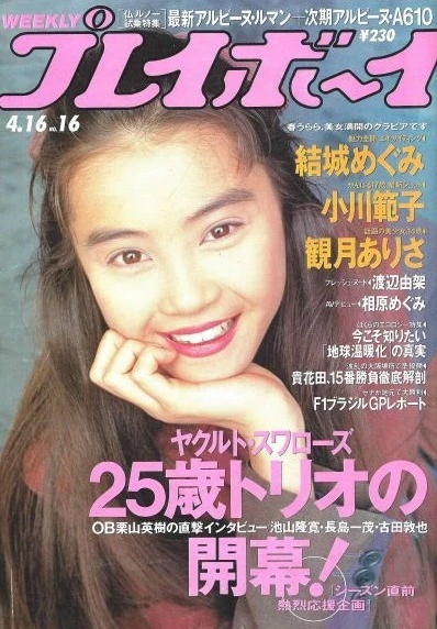 Cover of Volume #199116