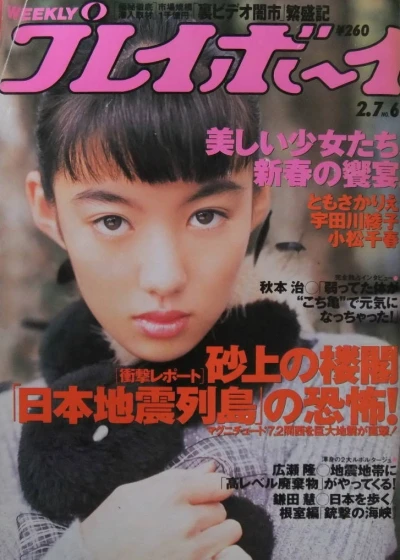 Cover of Volume #199506