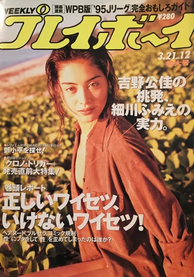Cover of Volume #199512