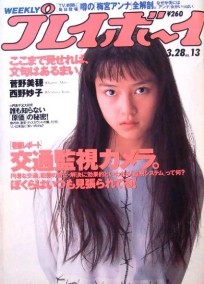 Cover of Volume #199513
