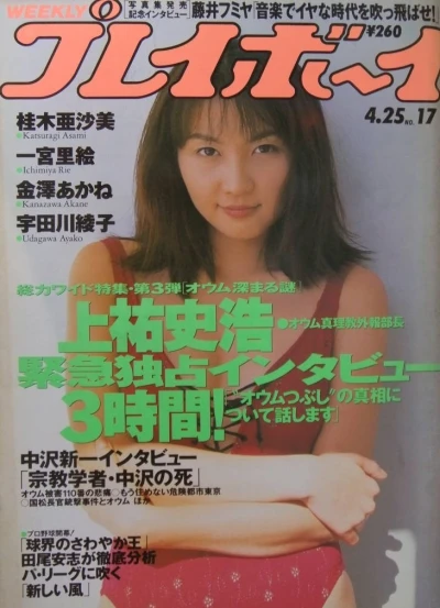 Cover of Volume #199517
